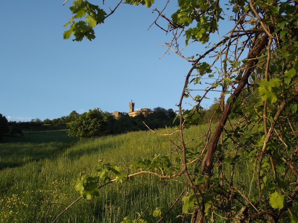 La Ciastra Ed San Michel Villa Terenzo Kültér fotó